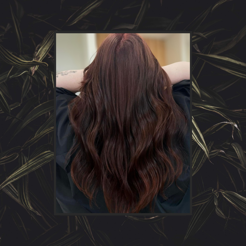 All Over Color at Alchemy Hair Studio HKY in Hickory, NC