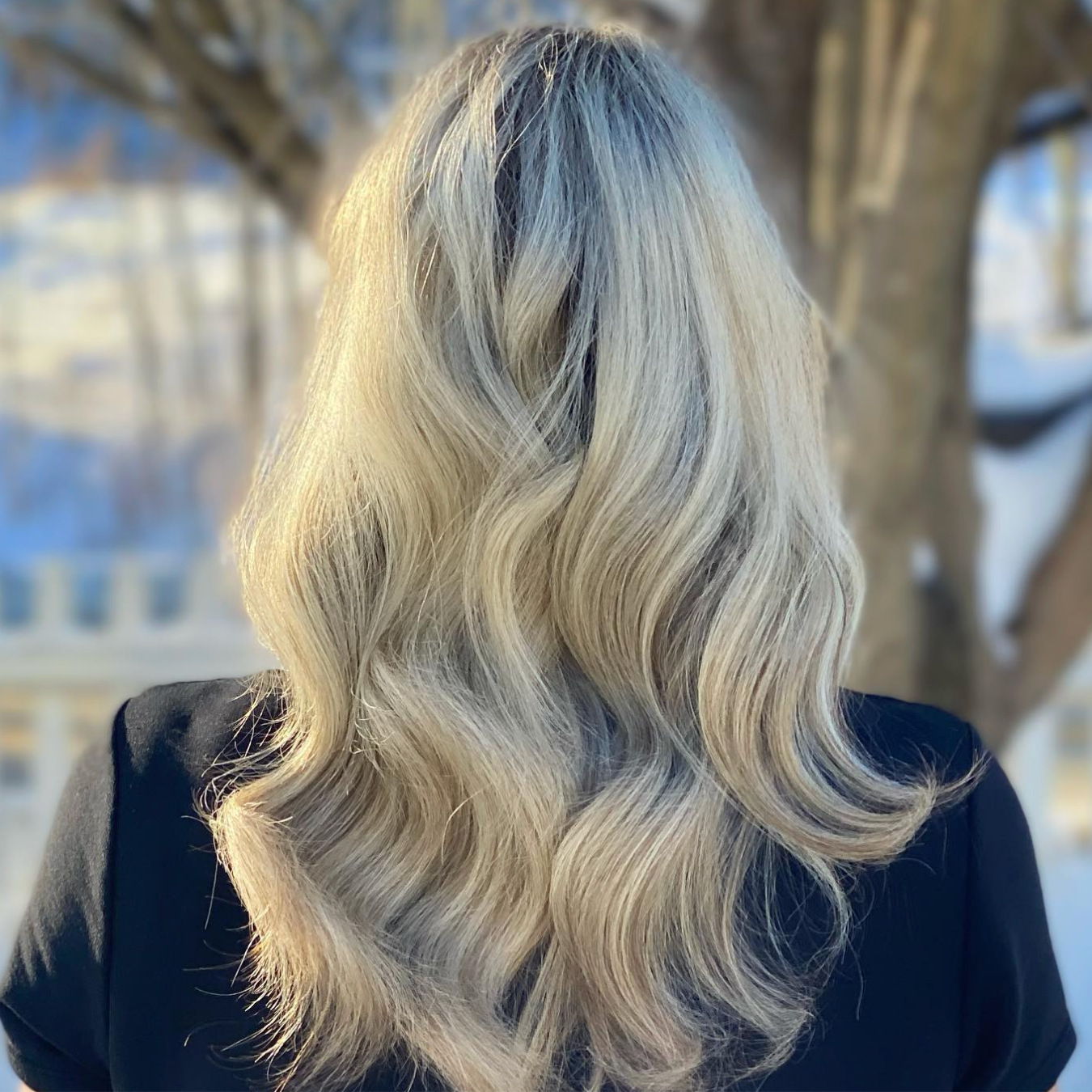 Platium foils at Mariposa Collective in Essex Junction, VT