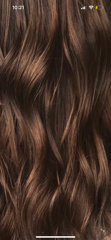 THE ROOT TOUCH UP