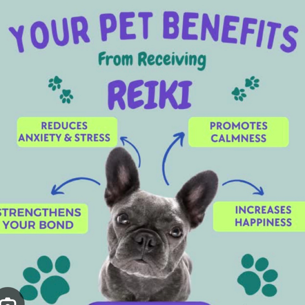 Animal Reiki & Red Light Included at Soul Rebellion Method in Tempe, AZ