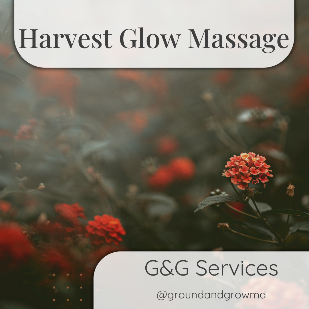 Harvest Glow Seasonal Massage