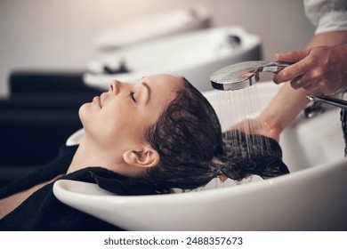 Haircut Shampoo & Blow Dry
