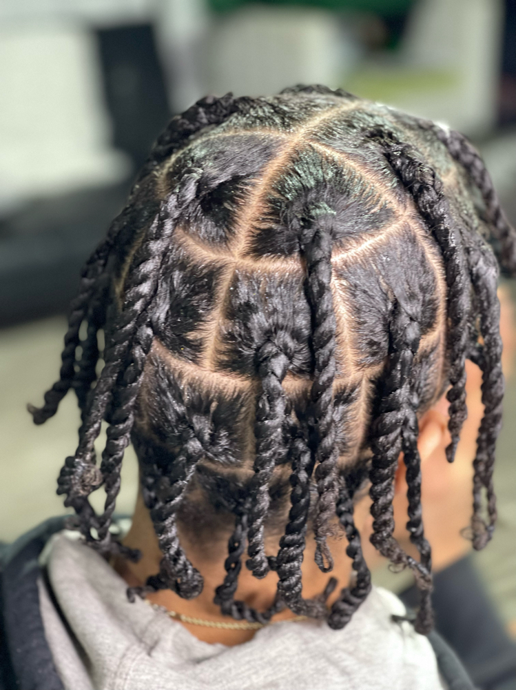 Two Strand Twist