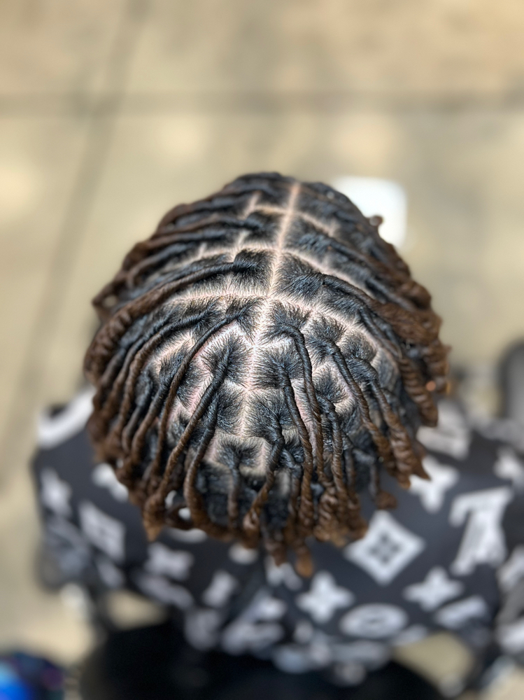 Starter Locs