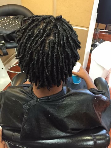 Starter Locs at Crown & Root Co. in Wauwatosa, WI