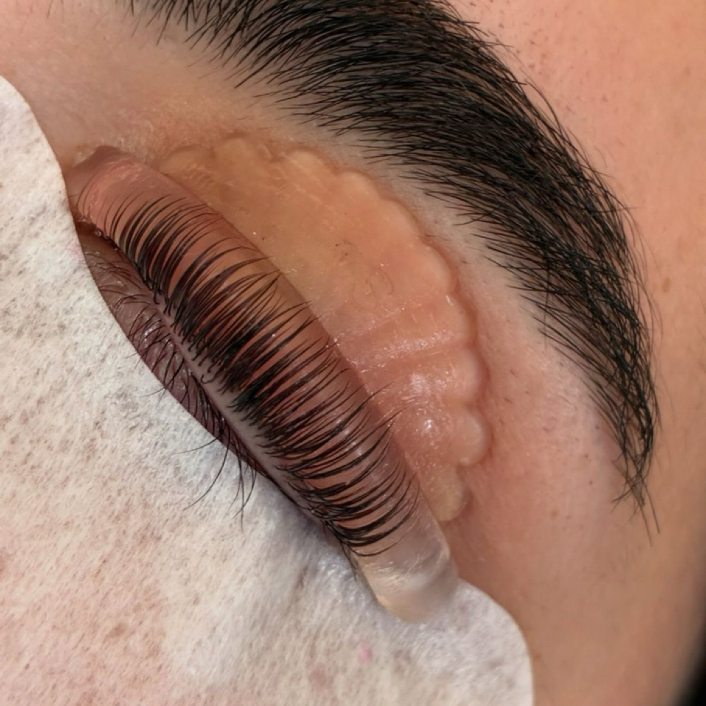koren lash lift & tint at ora brow & lash studio in Fenton, MI
