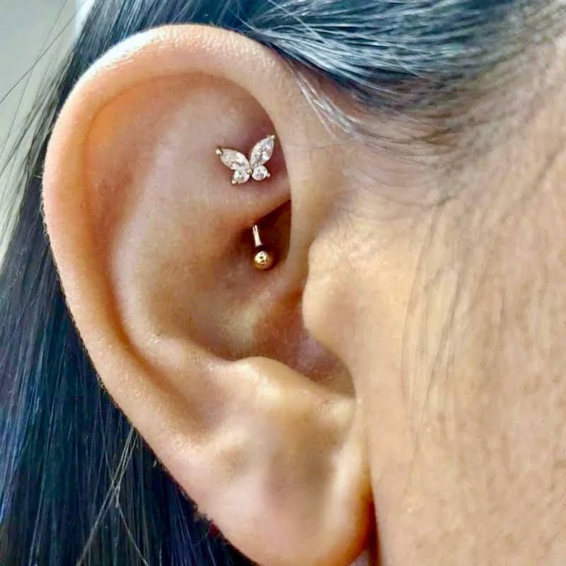 Rook