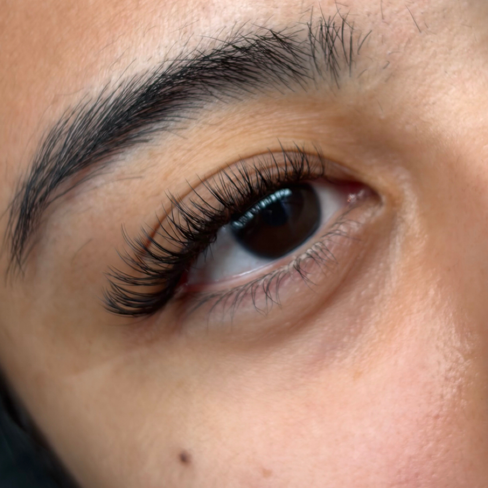 Lash Full Sets - W/ Stephanie💕 at Rose Gold Lash in Centerline, MI