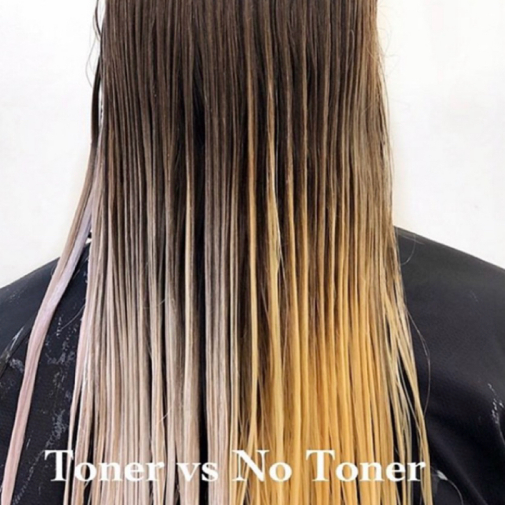 Toner ( No blowdry ) at Pani Style Hair Salon in Katy, TX
