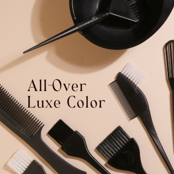 All-Over Luxe Color at The Feel Good Chair in Hammond, IN