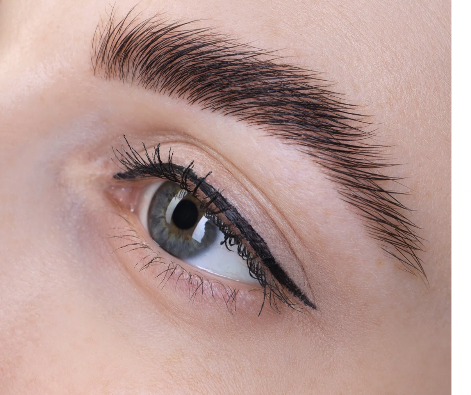 Brow Lamination at Well-Rooted Skincare in Hendersonville, NC