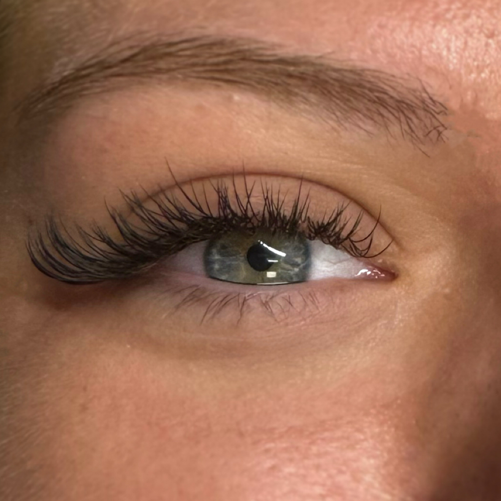 1 Week Fill at Lashes & Brows by Stephanie in Searcy, AR