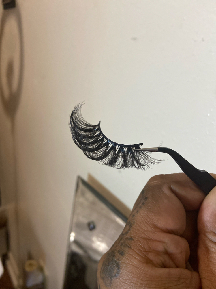 Strip Lash Install