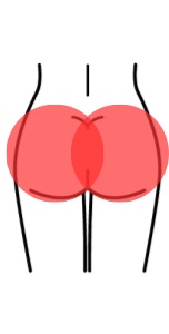 hip