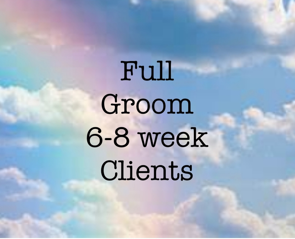 Full Groom 6-8 Week Clients