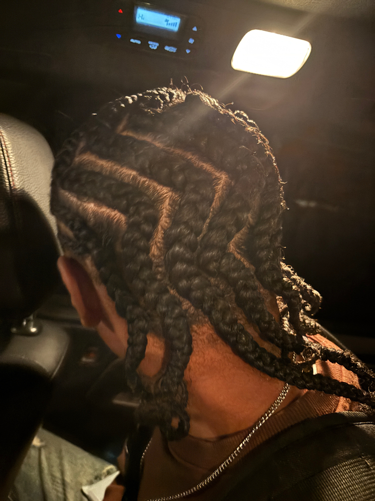 Protective Style (no Extensions) at L Stylez Beauty Bar Llc in Fredericksburg, VA