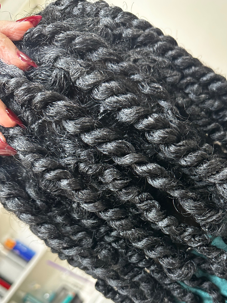 Two Strand Twists