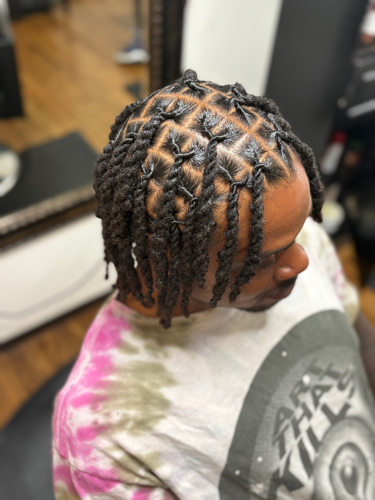 Starter Locs at HairTechNiquee in Dallas, TX