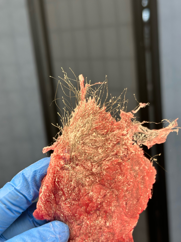Brazillian Wax (w/numbing)