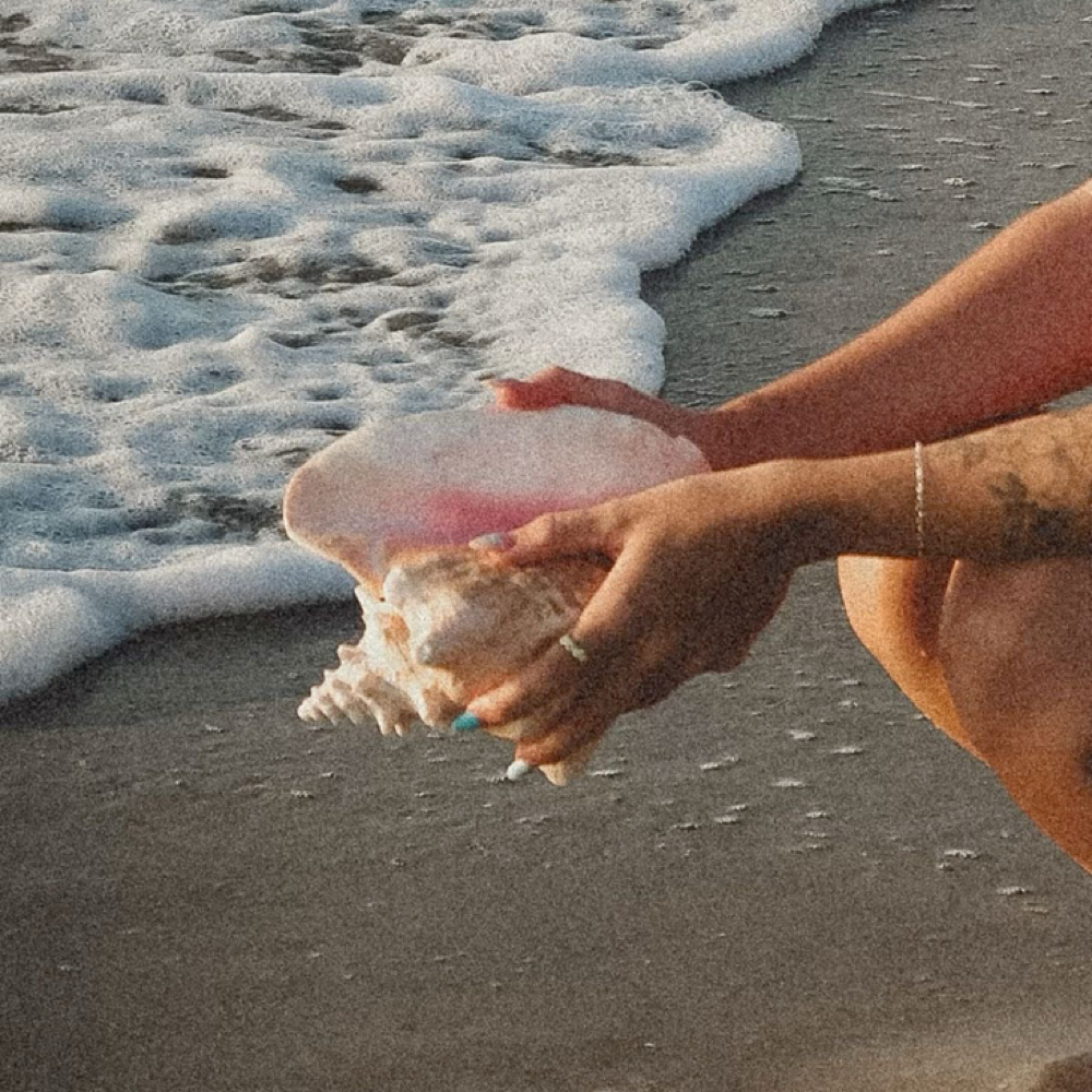 Color Consultation at Mane Evolution Hair in South Pasadena, FL