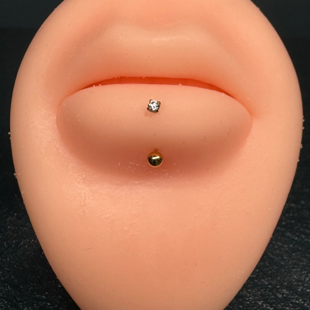 Vertical Labret at Anthem Piercing & Tattoo in North Salt Lake, UT