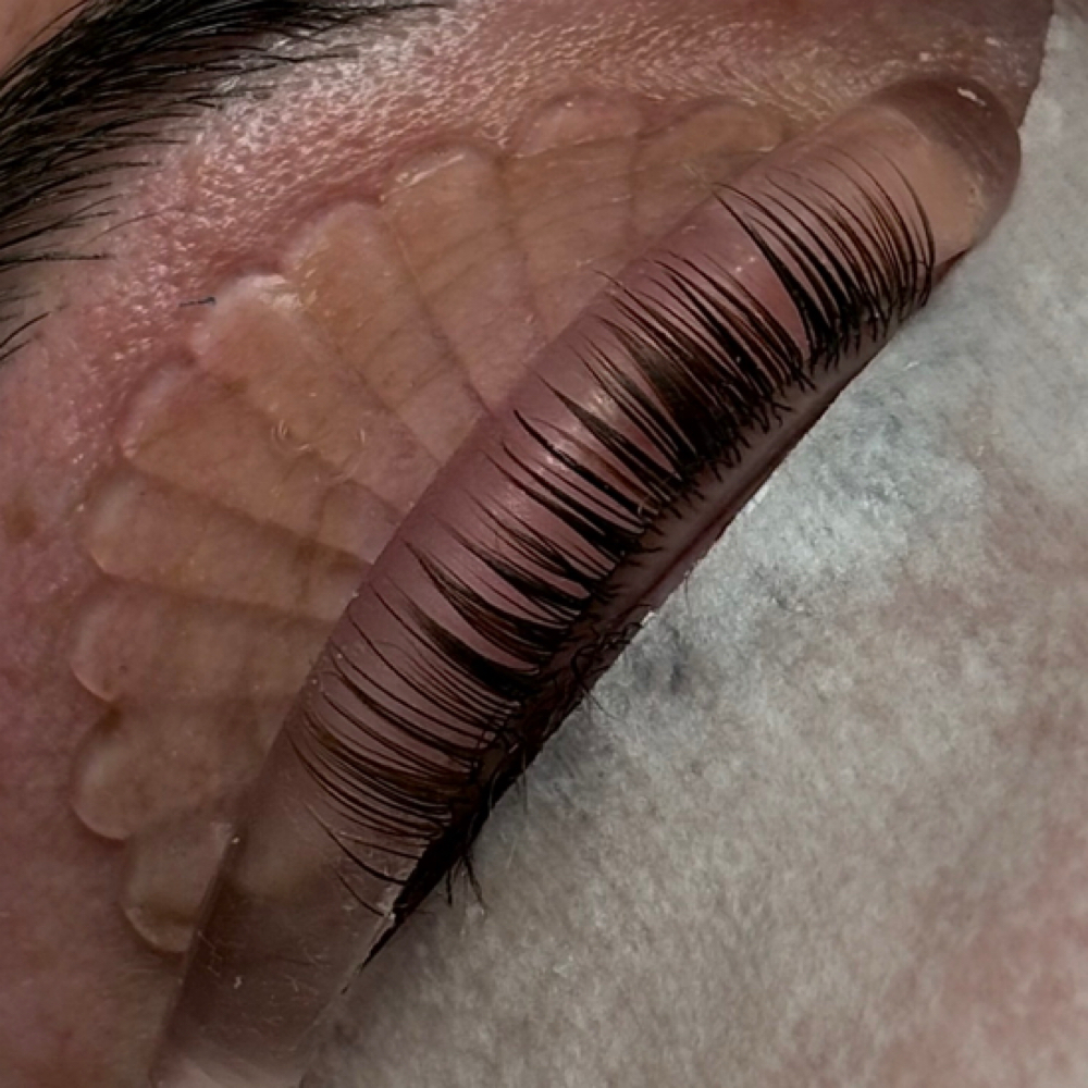 Lash Lift at Skin by Claudia in Billings, MT