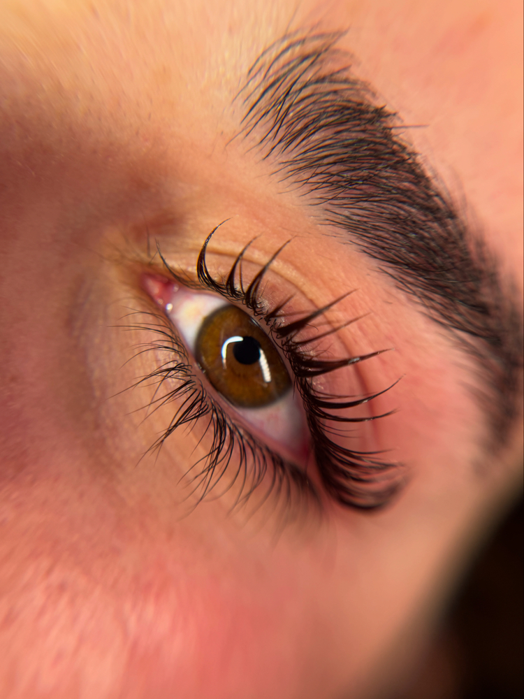 Korean Lash Lift