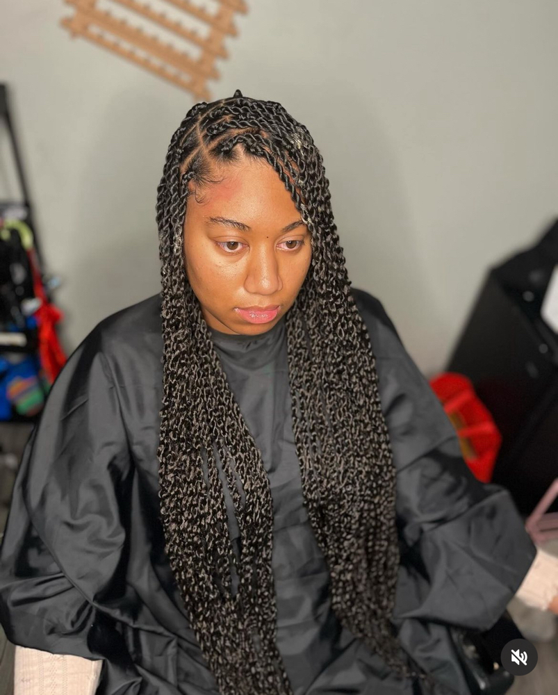 Passion Twists (Waist-Length)