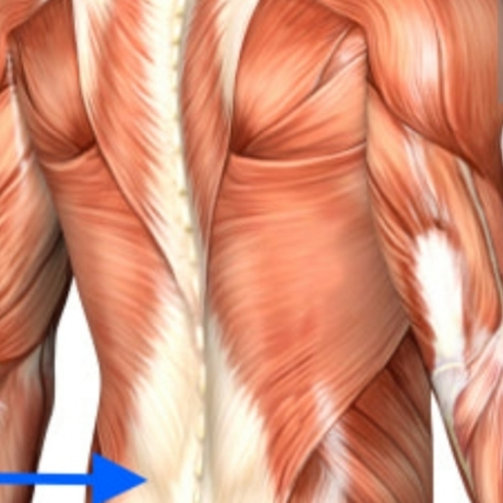 MYOFASCIAL RELEASE/RESTORATION at NEXT LEVEL HEALING, LLC. in Magnolia, TX