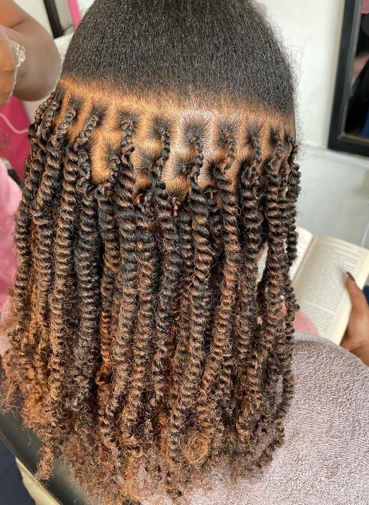 Two Strand Twist Braids/Not Sisterl