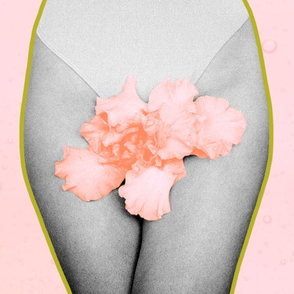 Mini Vajacial at Pink Paradise Esthetics LLC in Mobile, AL