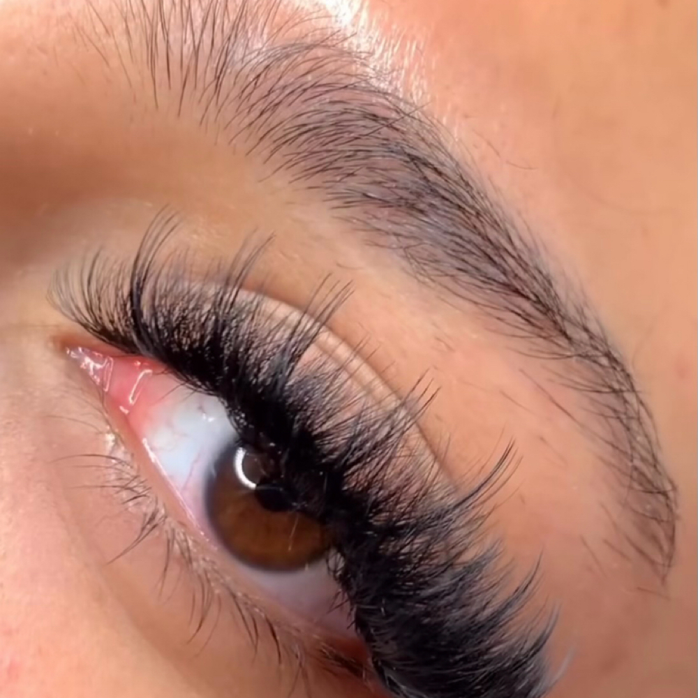Classic Lash Set at Da Bratz Lash & Hair Lab in Bellevue, NE