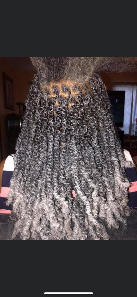 Spring Twist