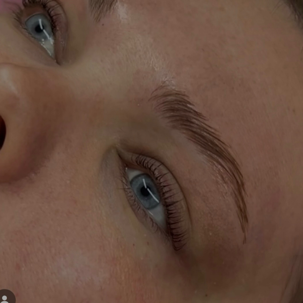 Brow Wax & Tint at Emtology in Bangor, ME