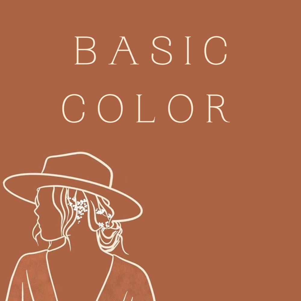 B A S I C • C O L O R at Hair By Lexus in Lincolnton, NC