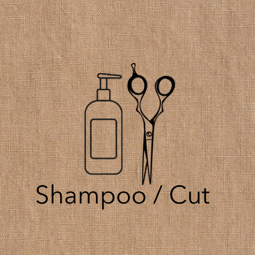 Shampoo/ Cut