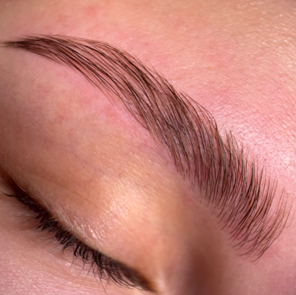 BROW LAMINATION at lashluxenm in brooklyn, NY