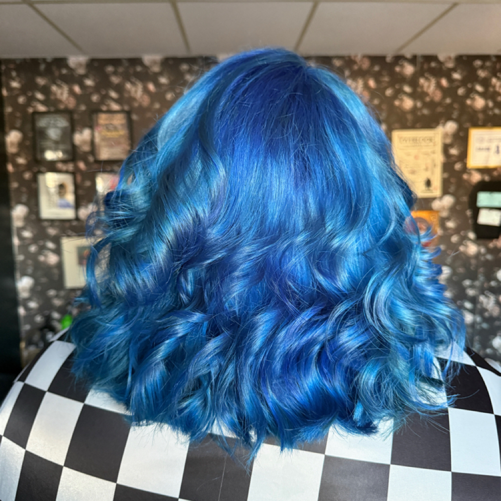 Root Retouch For Vivids at The Black Veil Parlor in Hickory, NC