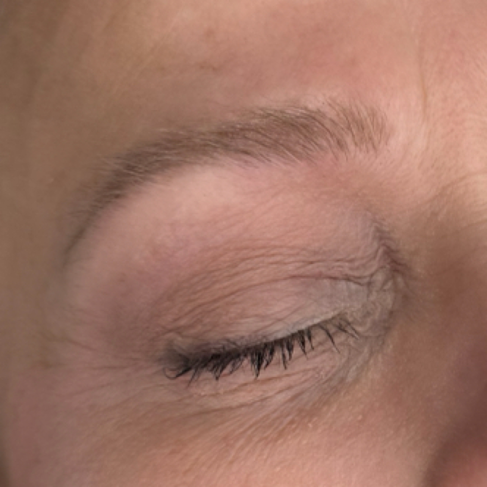 Yearly Nano Brow Refresh