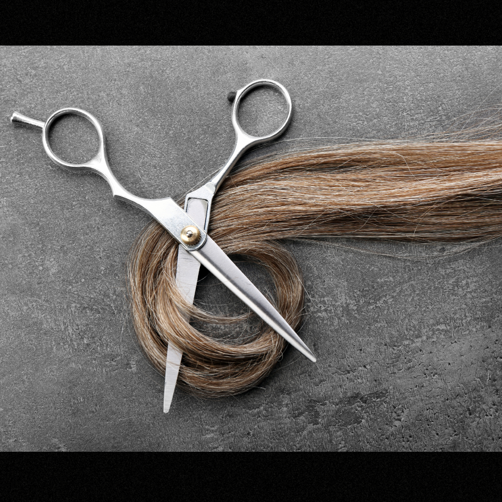Women’s Dry Haircut
