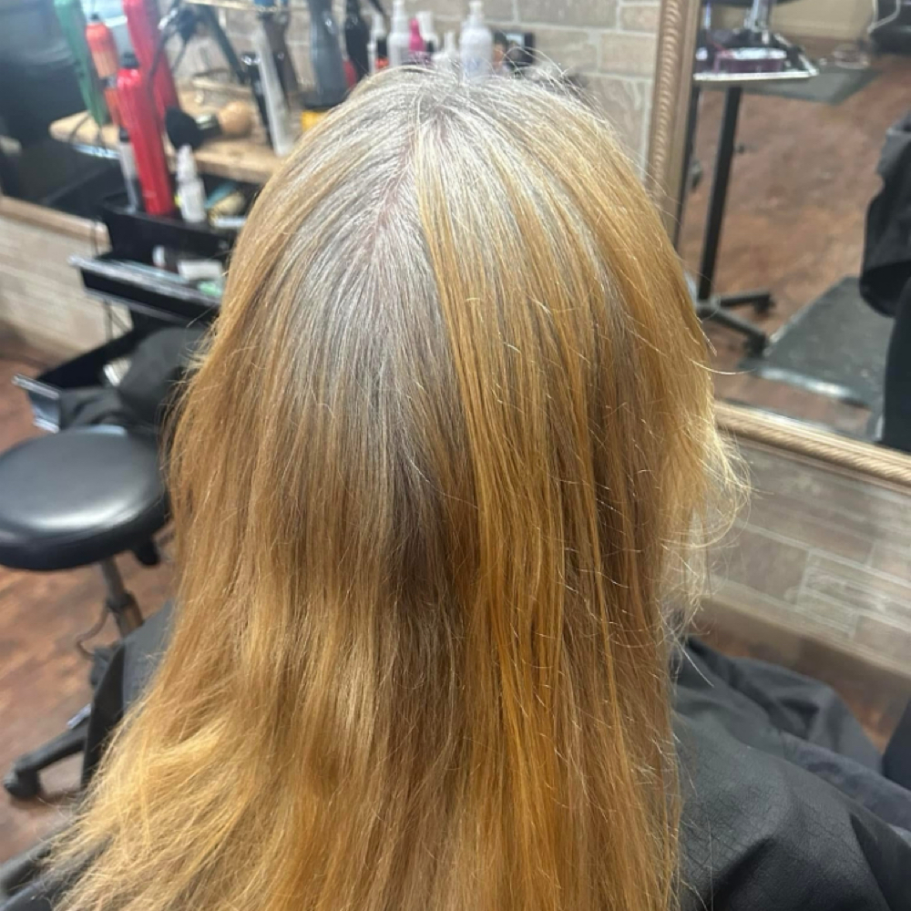 Root Touch Up With Color at Beauty Bloomed by Mikayla at Inspired Styles in Lapeer, MI