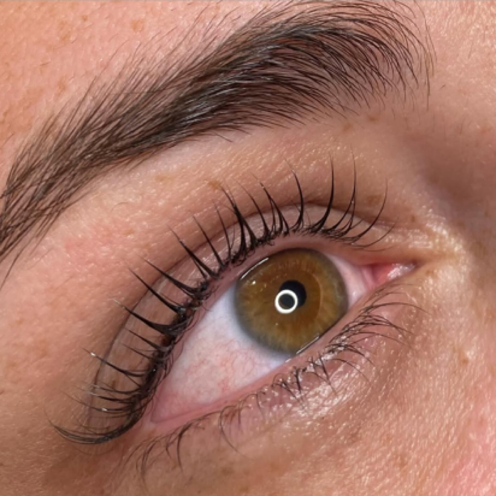 Lash Tint at The Pretty Peach in Chippewa Falls, WI