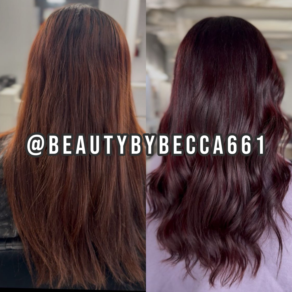 All Over Color at The Look Beauty Lounge in Bakersfield, CA