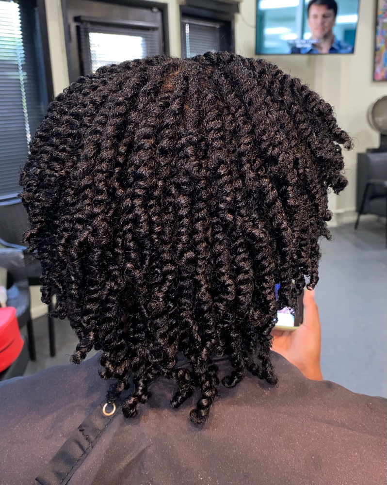 Mini Twists