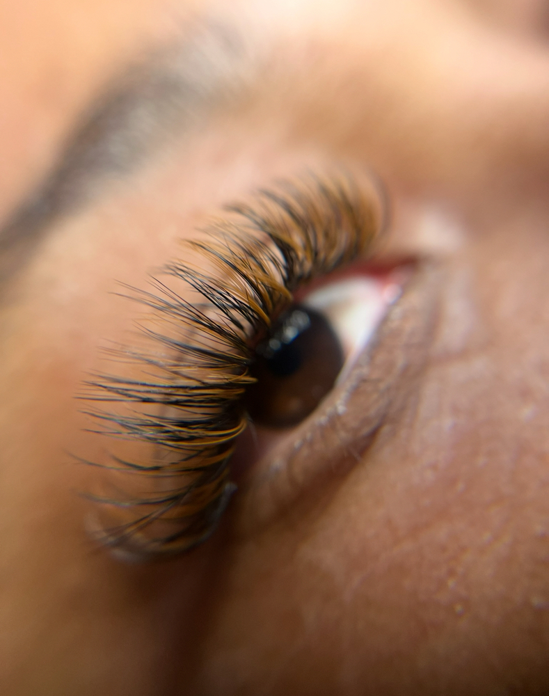 Brown Lash Set