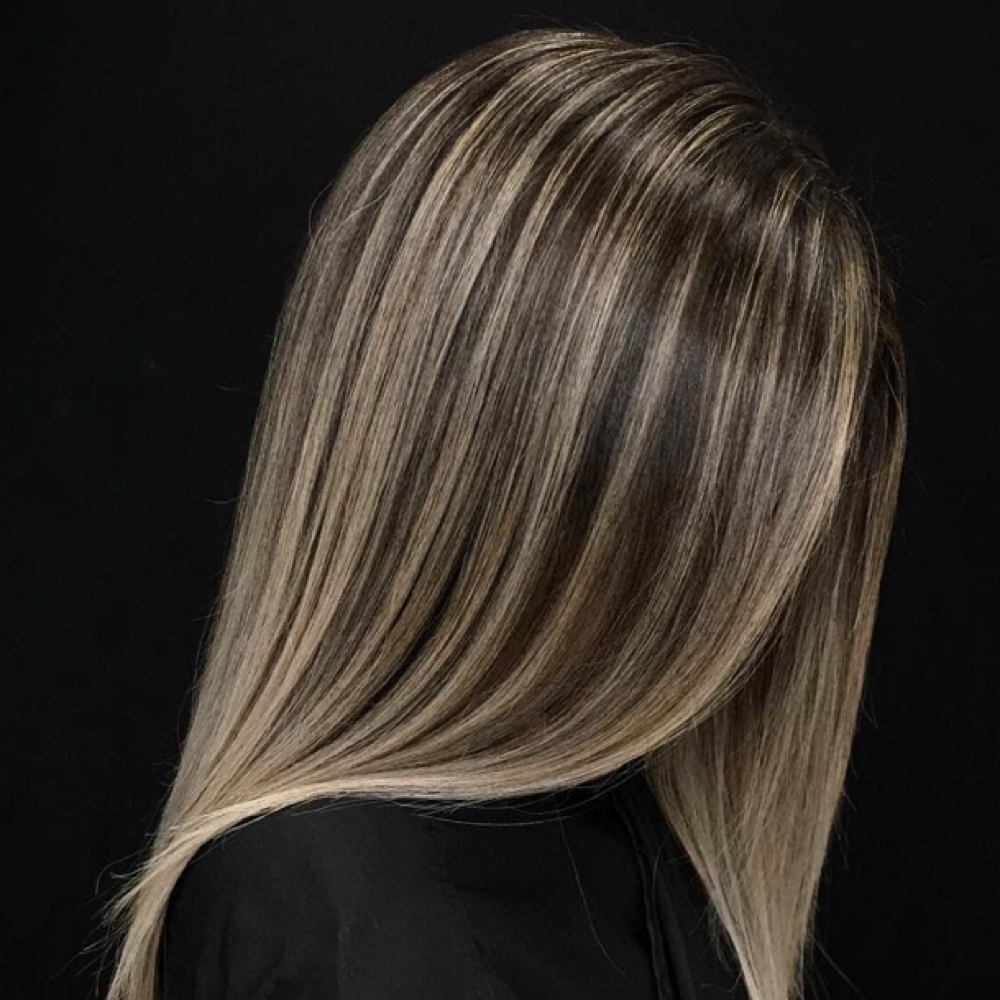 Highlights (Full Foil) at Flor De Mayo in Marion, NC