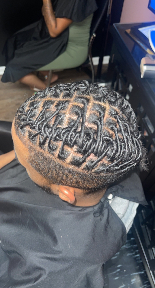 Starter Locs