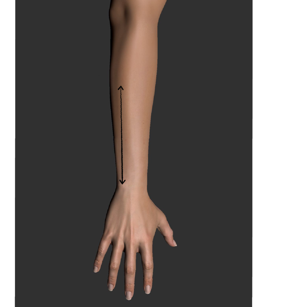 medium (4-6inches)