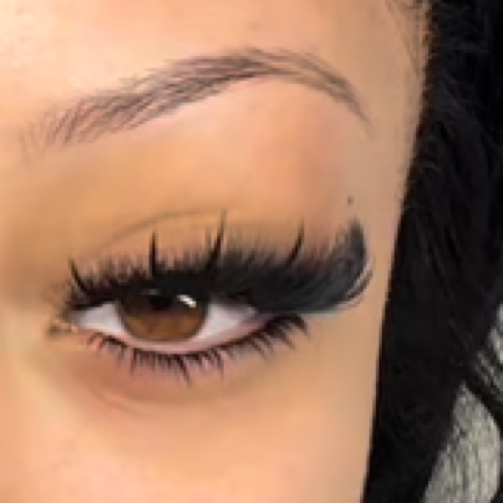 Vixen Volume at Lashedxlaidbyc in Annapolis, MD