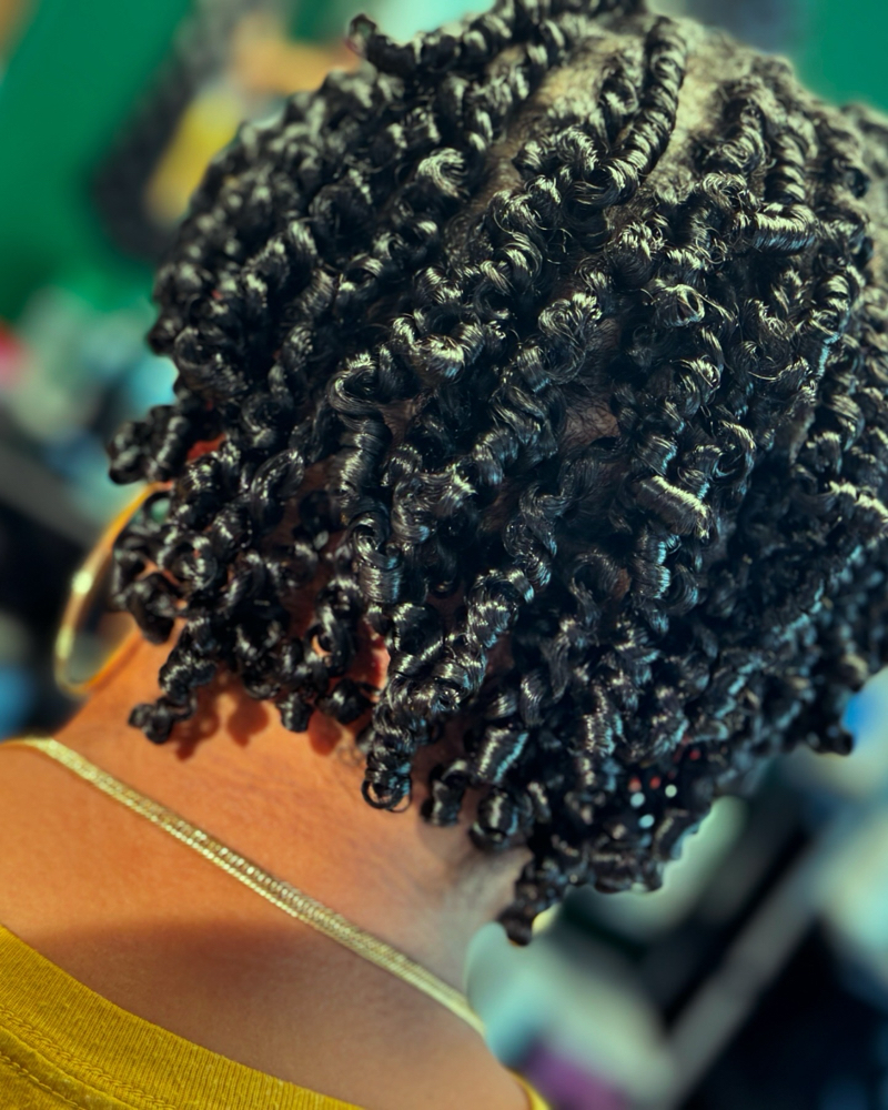 Mini Twists No Hair Added
